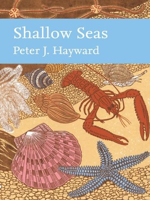 cover image of Shallow Seas